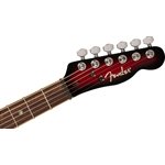 FENDER - SPECIAL EDITION CUSTOM TELECASTER FMT HH - Black Cherry Burst