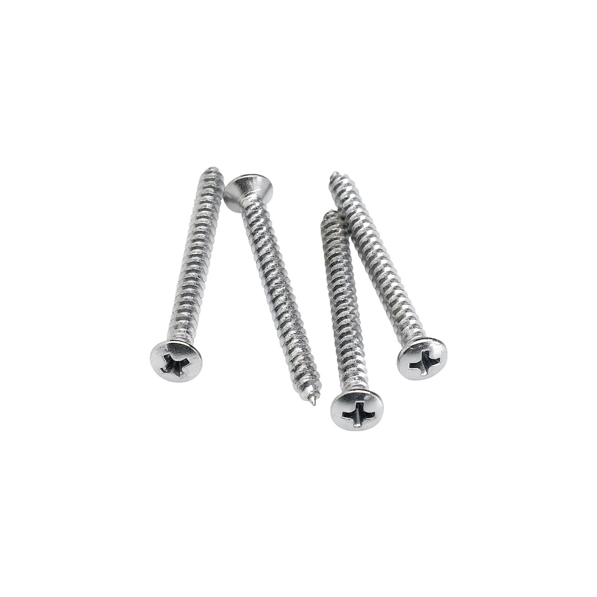 FENDER - NECK MOUNTING SCREWS (4)