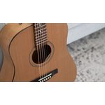 SEAGULL - S6 Collection 1982 acoustic guitar