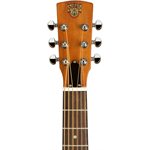 EPIPHONE - Hound Dog Deluxe Dobro