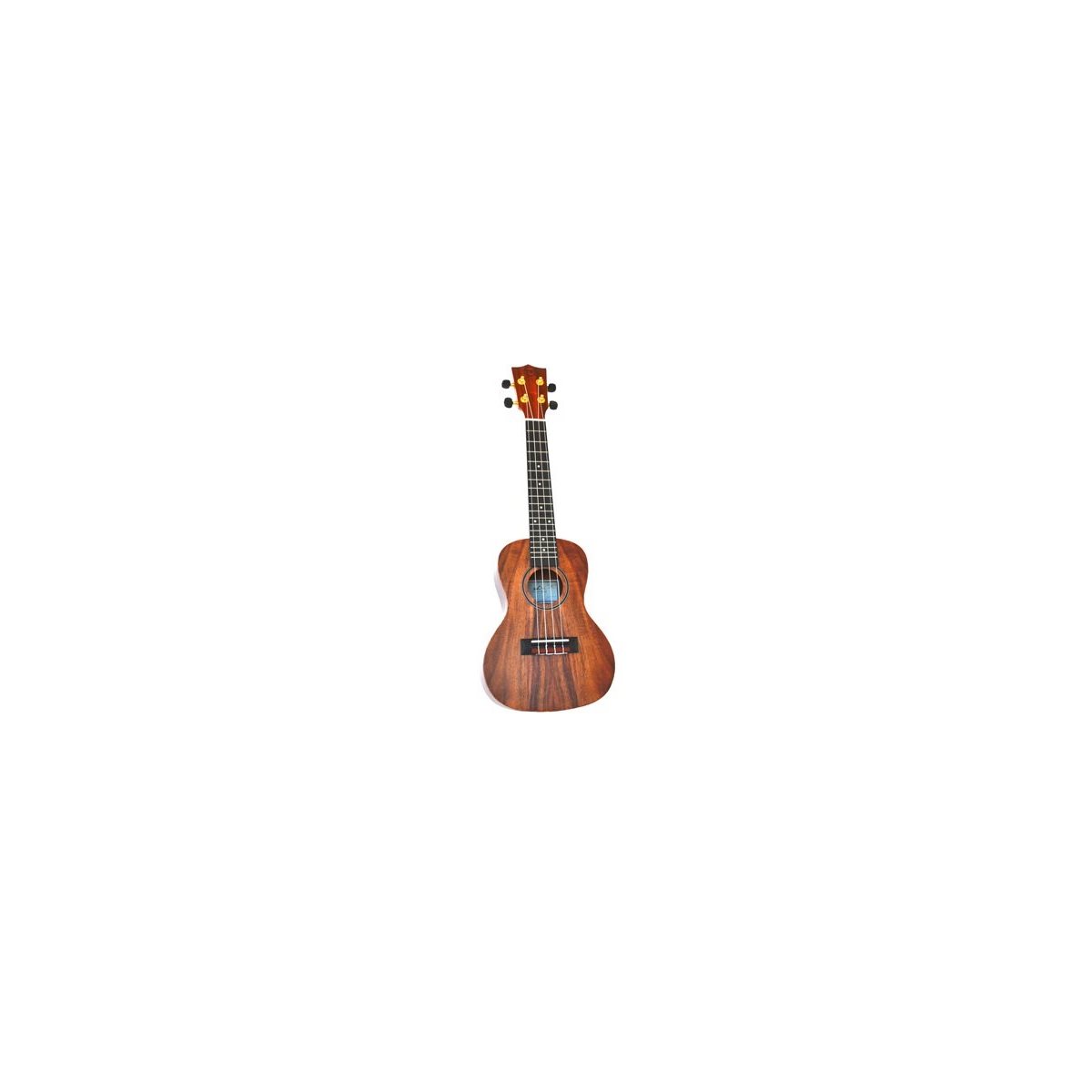 TWISTED WOOD - AR-800C - CONCERT UKULELE