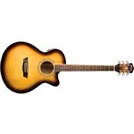 WASHBURN - EA15 - TOBACCO BURST