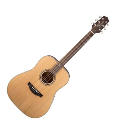 TAKAMINE - GD20-NS