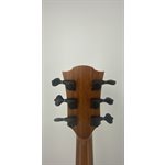 LAG - TRAMONTANE HYVIBE 20 - SMART GUITAR - demo