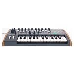 ARTURIA - Minibrute 2 - 25 Key Mono Synthesizer