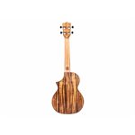 TWISTED WOOD - SW-700C - Switchback Concert Ukulele 