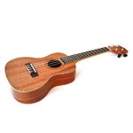 TWISTED WOOD - TO-100T - UKULÉLÉ TENOR 