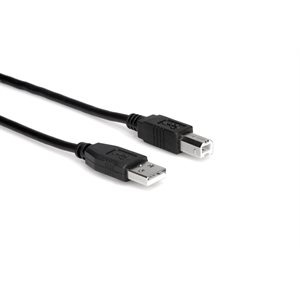 HOSA - High Speed USB Cable - Type A to Type B - 10 ft