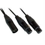 DIGIFLEX - CY-1MX-2FX-1 - Câbles répartiteurs XLR - 1FT