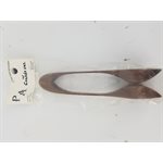PA Canada - PA30 - wooden spoons - Long and Large w / rosewood