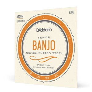 D'ADDARIO - EJ63 - Cordes de banjo ténor enroulées en nickel avec extrémité en boucle
