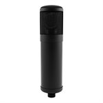 SLATE DIGITAL - ML-1 Large-Diaphragm Modeling Microphone - Matte Black