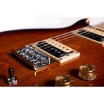 WASHBURN - Hawk H10TS — Tobacco Sunburst