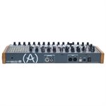 ARTURIA - Minibrute 2 - 25 Key Mono Synthesizer